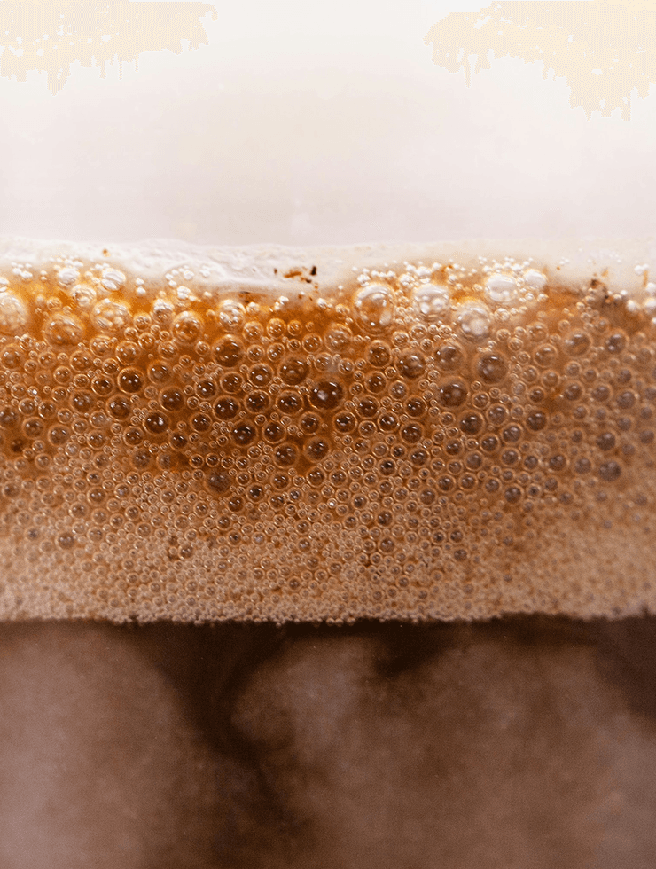 Foam application of amaranth ingredients