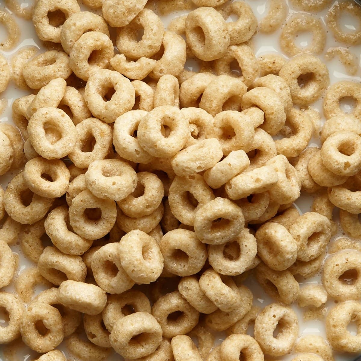 Cereals & Extruded Snacks